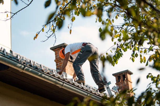 Best Commercial Roofing Services  in Portage, IN