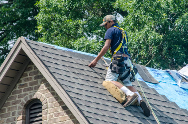 Best Shingle Roofing Installation  in Portage, IN